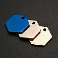 Placa de Identificación Personalizada para Mascotas con Grabado Láser Hexagonal, Etiqueta de Acero Inoxidable en Blanco para Perros, Colgante de Metal con Logotipo Personalizado