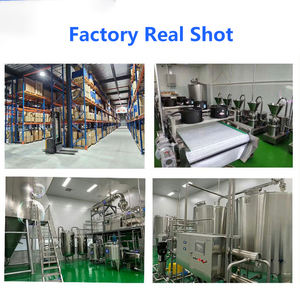 Proteína de Soya 100% Pura y Natural, Proteína Vegetal de Alto Valor Nutricional para Alimentos y Bebidas - Product Image 4