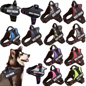 Arnés de Nailon Ajustable Tipo Chaleco de Alta Calidad, Duradero y Antideslizante para Perros Grandes - Product Image 2