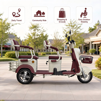 Triciclo Eléctrico para Adultos con Batería de 48V y 600W, Marco de Hierro, Frenos de Disco Delanteros/Tambor Traseros, para Viajes Diarios de Personas Mayores y Niños