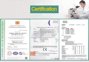 Hengruite 600w carbon sợi nhiệt ống nóng yếu tố - Product Image 6