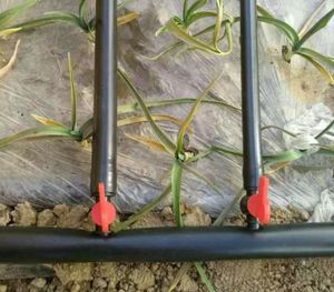 <strong>Automatic</strong> Fruit Trees Irrigation <strong>System</strong> <strong>Greenhouse</strong> Drip Irrigation <strong>System</strong> China Factory Price Ldpe Pipe Hdpe Pipe Pe Pipe - Product Image 2