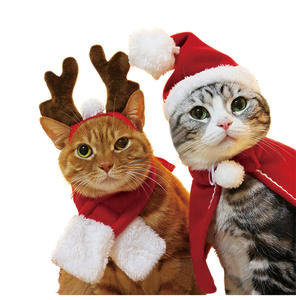 <span class=keywords><strong>2022</strong></span> gros nouveau Style Offre Spéciale animal de compagnie ensemble de fête chapeau de noël écharpe Cape classique hiver chat chien chiot animal de compagnie vêtements de noël - Product Image 1