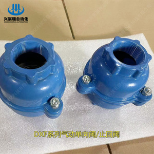 วาล์วกันกลับ Xingchenrui Dxf แบบลิ้นเดี่ยว สำหรับระบบกำจัดเถ้าในโรงไฟฟ้า ใช้กับลมแรงดันปานกลาง - Product Image 4