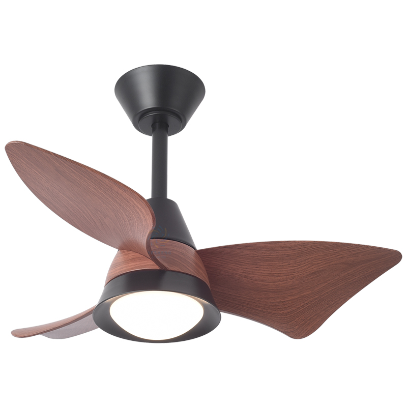 30IN-Black + วอลนัท