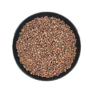 الأكثر مبيعًا rdish أفضل سعر جيد استخراج Semen rhani 10:1-50:1 - Product Image 4