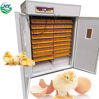 Incubateur automatique à température constante haute capacité, adapté à l'éclosion des œufs de poulet, de canard, de caille et d'oie dans les fermes.