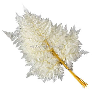 Foglie di <span class=keywords><strong>Felce</strong></span> Essiccate e Conservate Arachniodes, Vendita Diretta dalla Fabbrica dello Yunnan, per Decorazioni Floreali - Product Image 1