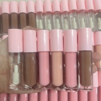 Vendeur de brillant à lèvres personnalisé mignon mini rose tube de brillant à lèvres brillant à lèvres marque privée