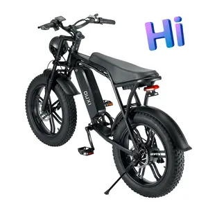 US Dropshipping New Design DK200 Mountain Fat Tire Electric Bicycle 1200W Motor Dirt Bike Electric Off Road