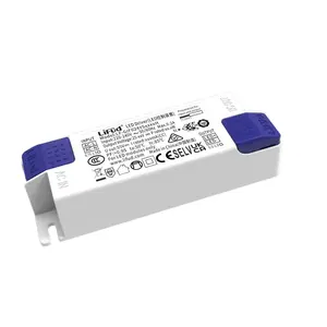 Convertisseur AC/DC Lifud Led Driver 220V 300mA monocanal pour modules LED, puissance de sortie 1-50W - Product Image 1