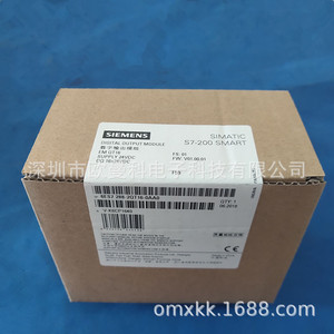 Módulo de Salida Digital Siemens 6ES7288-2QT16-0AA0 EM QT16 16 Puntos Alimentación 24VDC - Product Image 1