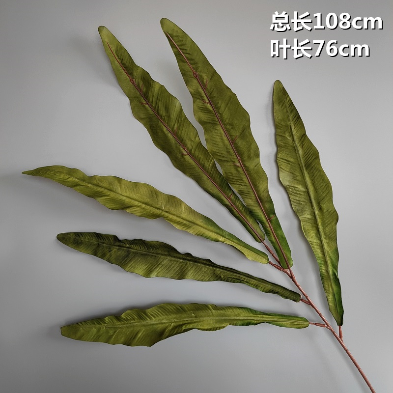 Feuille de nid