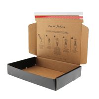Boîte aux lettres personnalisée pour le commerce électronique Ziplock à fermeture éclair Bande de papier déchirable Boîte d'emballage d'expédition express à fermeture éclair pour avion Boîte cadeau
