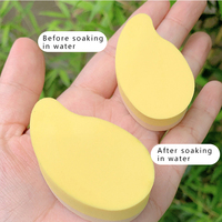 Ensemble d'éponges de maquillage à double usage pour fond de teint Mango Makeup Puff Wet and Dry