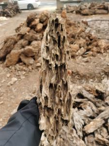 Blauwe Draak Rotsen <span class=keywords><strong>Aquarium</strong></span> Seiryu Steen Aquascape 15*60Cm Cilinder Keramiek Voor Eetkamer <span class=keywords><strong>Aquarium</strong></span> Decoratie 5W Power - Product Image 2