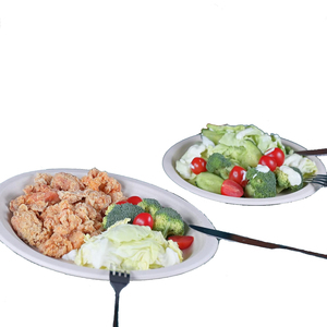 Bioking 100% Compostable Bộ Đồ Ăn Dùng Một Lần Hình Bầu Dục Thực Phẩm Tấm Làm Từ Mía Bã Mía Phân Hủy Sinh Học Cho Các Bên - Product Image 2