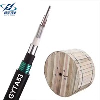 Cable de Fibra Óptica Monomodo para Exteriores GYTA53 GYFTY53