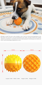 Juguete para Perros con Sonido, Cepillo de Dientes, Mordedor de Entrenamiento, Pelota - Product Image 6