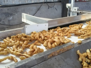 Jahe Segar 250g Jahe Kering Cina Bersertifikat Laris Manis untuk Penggunaan Makanan Pertanian - Product Image 6