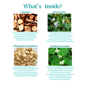 Complément alimentaire pour animaux de compagnie OEM&ODM avec extrait de chèvrefeuille, liquide sans céréales pour chiens et chats, soulage la toux et l'asthme - Product Image 3