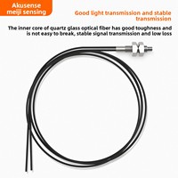 AKUSENSE-Sensor de fibra óptica serie P M4/M6 350, reflexión difusa de vidrio de cuarzo de alta temperatura, longitud de onda de 1064nm,