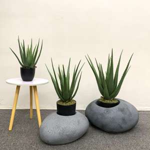 Maceta pequeña artificial suculenta de alta calidad, Aloe falso, decoración del hogar, escritorio, árbol realista, planta de Aloe <span class=keywords><strong>Vera</strong></span> - Product Image 3