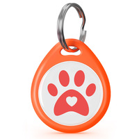 Proveedor Directo Placa de Identificación de Lujo Duradera de Epoxi para Mascota Perro Gato Lista para Usar con Huella de Animal para Collares Correas Arneses Sencillos