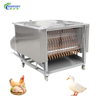 Machine à plumer les volailles Shepody, machine à plumer les poulets, machine à abattre les canards pour l'abattoir