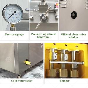 Homogeneizador de Pistón de 30l 100l de Alta Presión a Pequeña Escala para Miel, Frutas, Lácteos y Leche - Product Image 3