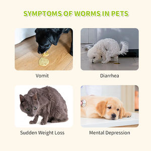 Compresse Masticabili Erboristiche Efficaci <span class=keywords><strong>per</strong></span> la Disparassitazione di <span class=keywords><strong>Cani</strong></span> e Gatti, Integratori Animali Ricchi di Ingredienti Salutari - Product Image 4