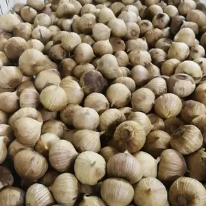 Wholesale Price Of Fermented Organic Black Garlic