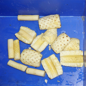 Machine automatique d'épluchage d'ananas frais éplucheur d'ananas et machine d'épluchage de carottier de coupeur - Product Image 6