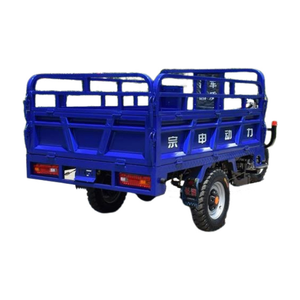 En promotion : Nouveau petit tricycle électrique fermé à trois roues pour ferme et tourisme, véhicule utilitaire solaire télécommandé pour adultes, prix Chine - Product Image 6