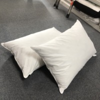 Meilleure vente 50x70cm personnalisé en forme 3 chambre hôtel oreiller oie canard plume insérer coton tissu Vintage usage domestique en gros