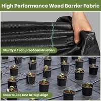 Toile de paillage agricole moderne en plastique avec matériau 100 % PP/PE pour serres