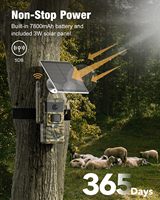 Camuflaje salvaje GSM 4G Sim Cámara de seguimiento de batería Ucon App Solar Powered CCTV Hunting Trail Camera