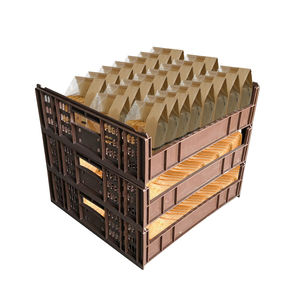 Rak Plastik Roti Panggang Padat untuk Toko Roti, Ukuran Kustom OEM, Dapat Digunakan Kembali, Berlubang, Higienis, Dapat Ditumpuk, Besar, dari Bahan PP Virgin - Product Image 6