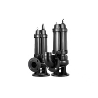 Bomba Sumergible para Aguas Residuales WQ 5HP SS304, 50m de Altura de Elevación, 100L/min, DN50, con Brida, Bomba Industrial para Aguas Residuales, OEM, Eficiente Energéticamente