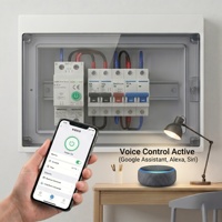 Interruptor de Circuito Inteligente SLS Zigbee para Riel DIN, 10-63A, Monitoreo de Energía, 1P 2P 90-240V, Interruptor Remoto, Hogar Inteligente, Compatible con Alexa/Google