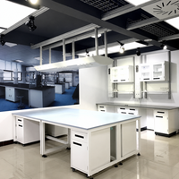 Table de travail de laboratoire de biotechnologie à structure en acier robuste avec plateau phénolique et station d'évier