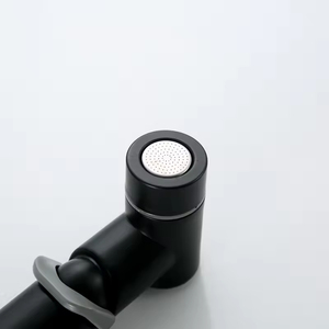 Высококачественный самоочищающийся распылитель для биде - Product Image 2