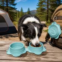 Bol pour animaux de compagnie en silicone personnalisé OEM pour le camping et la randonnée, bol de voyage pliable pour chien et chat avec boucle de montagne
