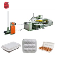 Machine de plateau de Fruits en mousse PS la plus populaire en Afrique du Sud Machine de fabrication de boîtes à lunch jetables