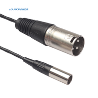 Câble blindé Mini XLR 3Pin Mini Xlr mâle vers XLR mâle Adaptateur de mélangeur de microphone 0.3m