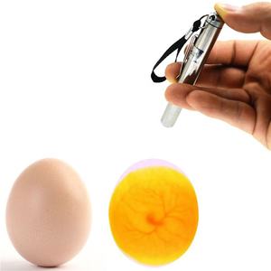 <strong>Egg</strong> <strong>Candling</strong> LED Lamp Stainless Steel Eggtester <strong>Mini</strong> Poultry Incubation <strong>Egg</strong> Tester With Keychain - Product Image 5