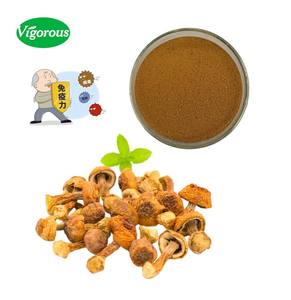 Venta al por mayor de fábrica, muestras gratuitas a granel, polvo de extracto de hongo Natural 30% comestible <span class=keywords><strong>Agaricus</strong></span> Blazei Murill - Product Image 1