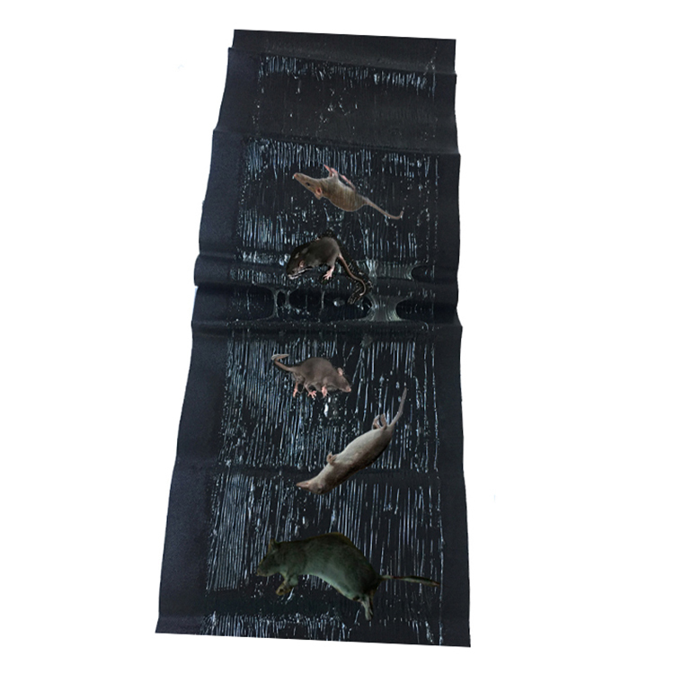 Factory Directly Provide High Quality Extra