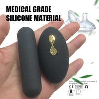 Hot Sell wiederauf ladbare Mini Wearable Bullet Vibrator Panty Love Egg mit Fernbedienung 10 Vibrations modi Vibrierendes Ei
