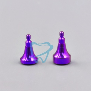Chữa bệnh abutment Tương thích với thương hiệu Hàn Quốc - Product Image 1